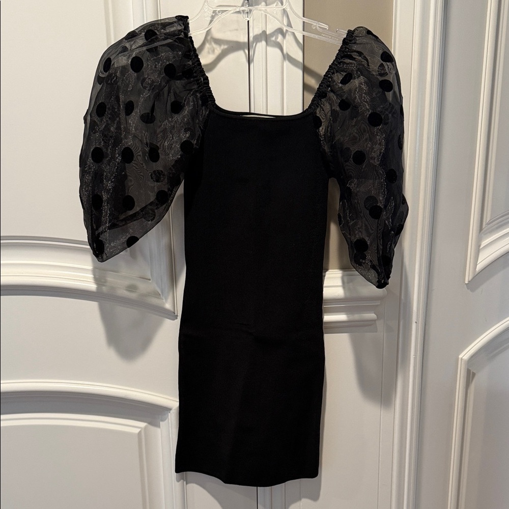 Flying Tomato Black Mini Dress with Sheer Polka-Dot Puff Sleeves